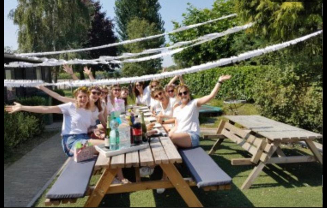 De groep aan de picknicktafel onder de slingers