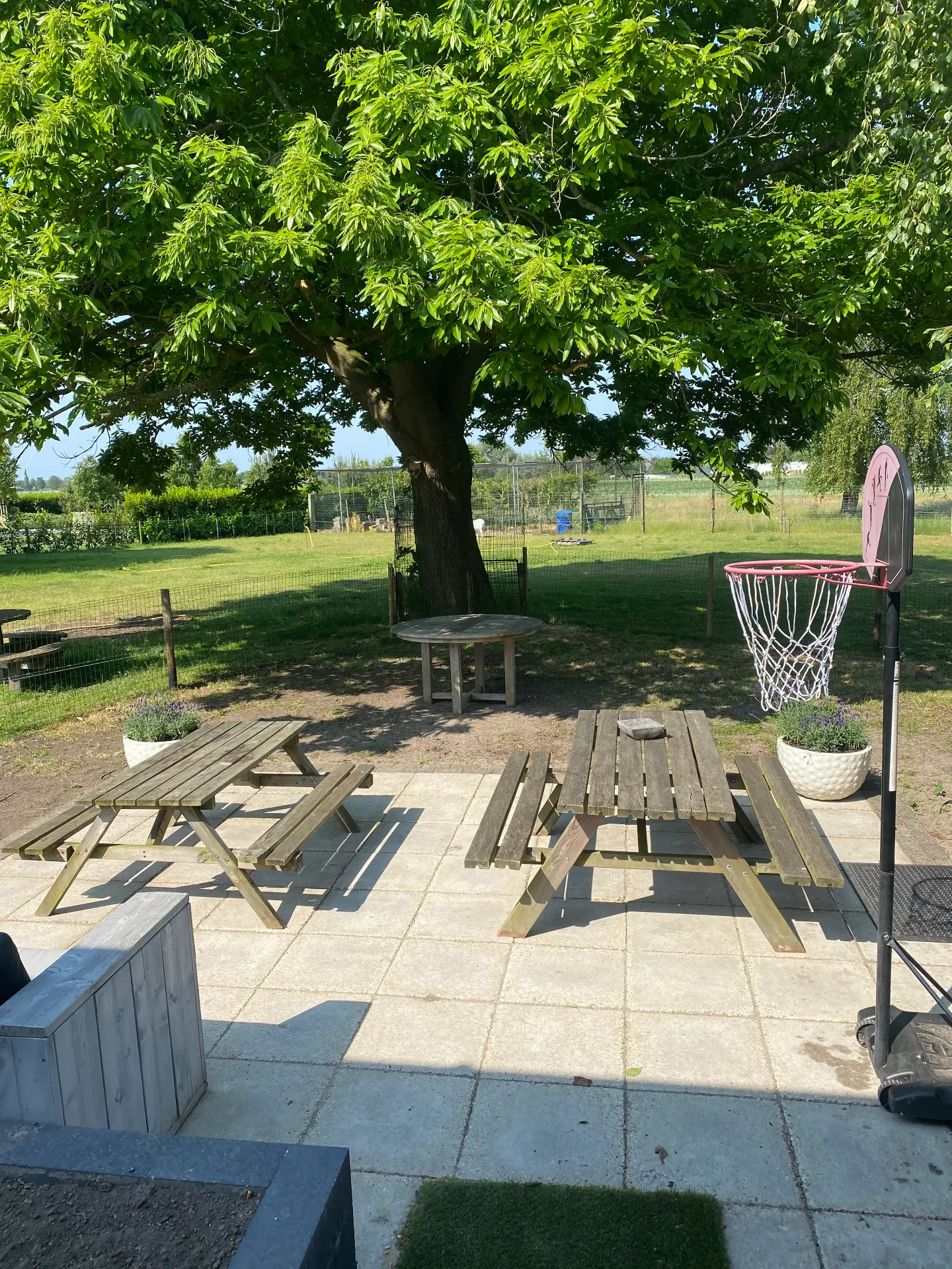 Huisje voor 11 personen: terras met picknicktafels