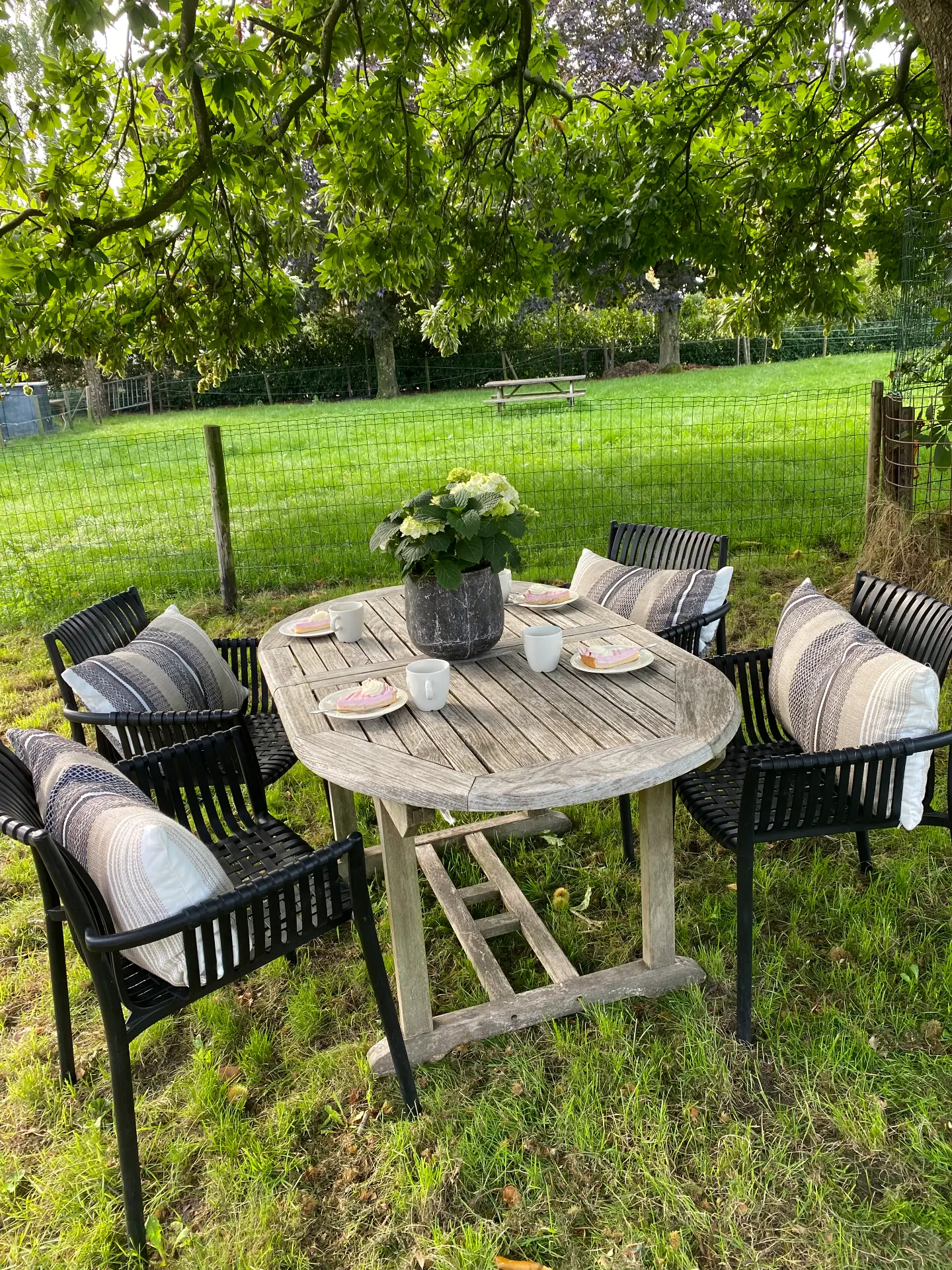 Huisje voor 11 personen: tuintafel onder de boom