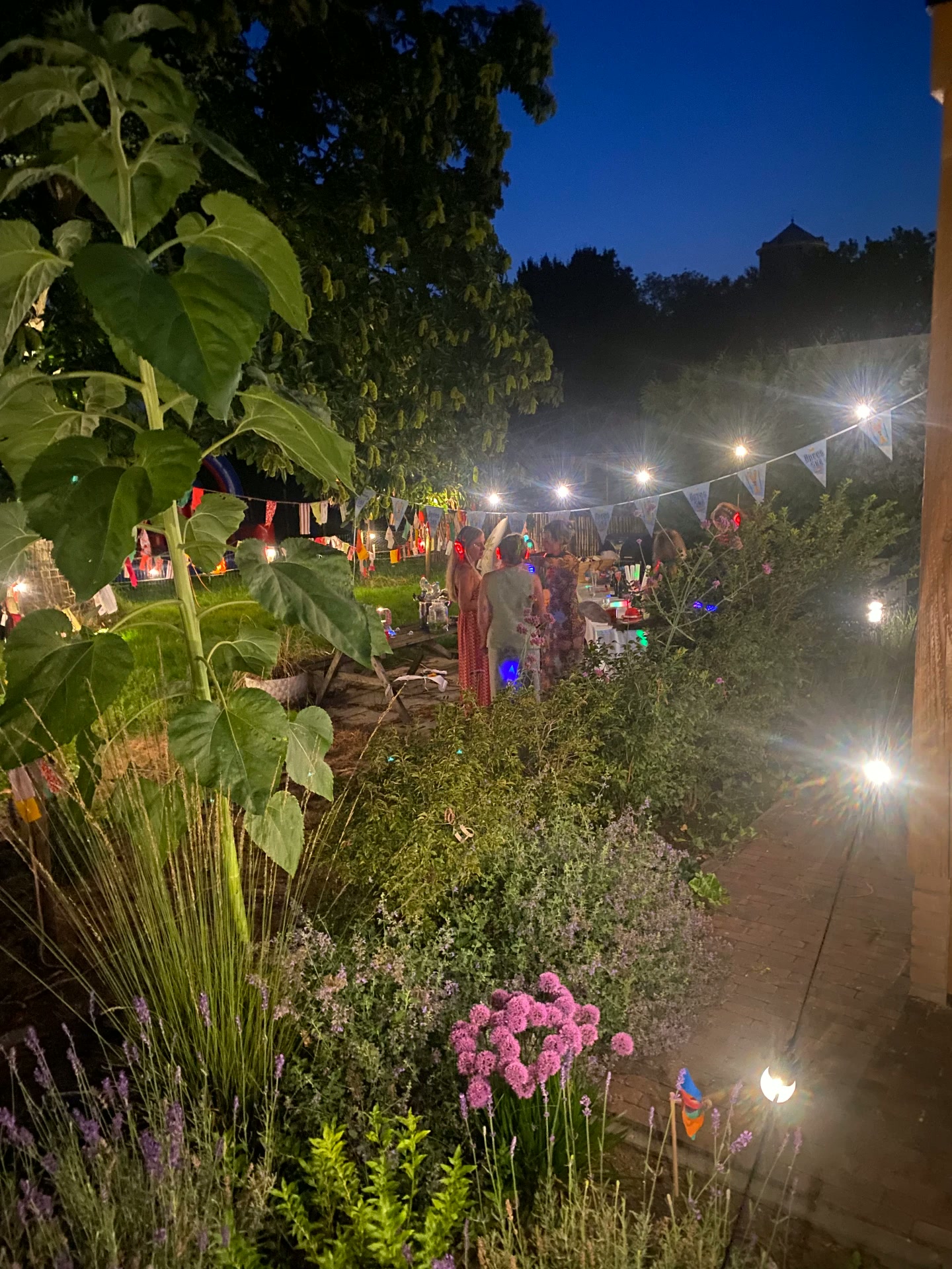 Sfeervol verlichte tuin in de avond