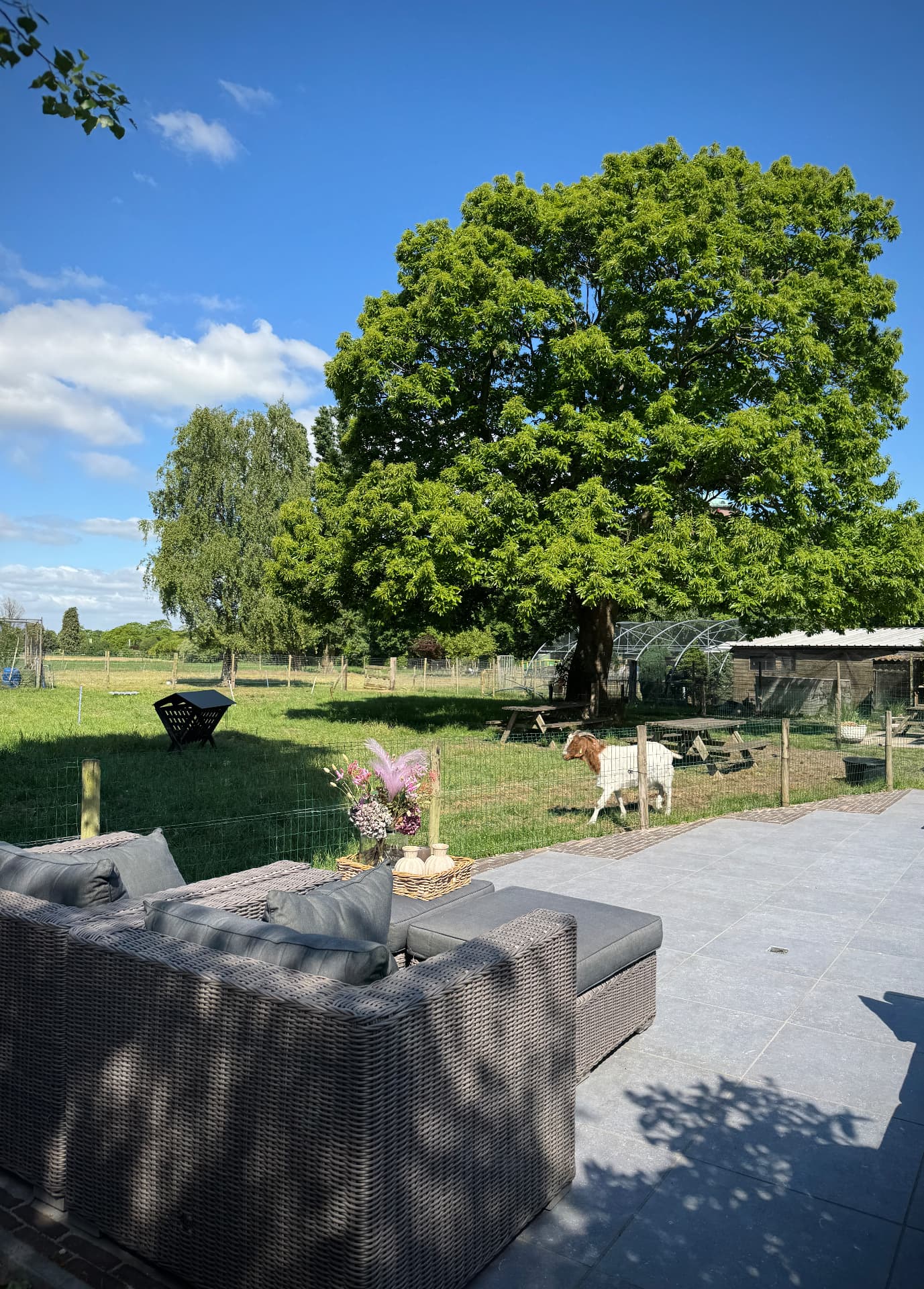 Huisje voor 11 personen: loungeset op het terras met uitzicht op de geit en de tuin