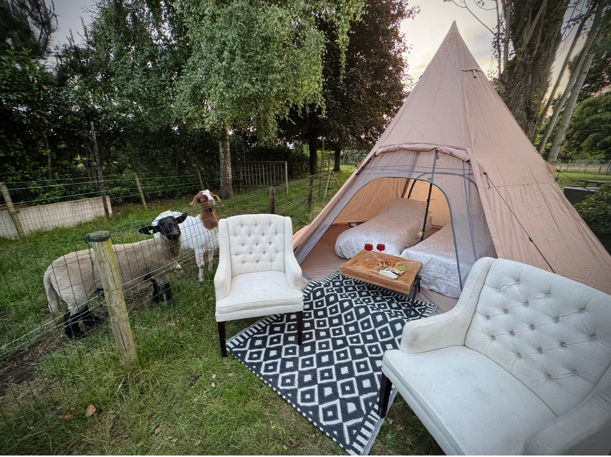 Tipi-tent met loungeset in de tuin, met de geiten erbij